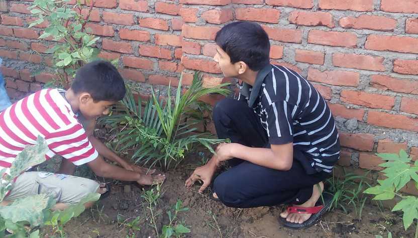 Harela festival food image